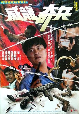 《少女情怀总是诗1993香港》海报